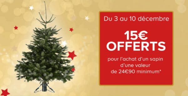 1 Sapin de Noël 2016 acheté chez Castorama = 15€ en bon d'achat